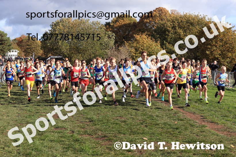 Boys Under-13s 2025 National Cross Country Relays, Berry Hill Park, Mansfield. Photo: David T. Hewitson/Sports for All Pics